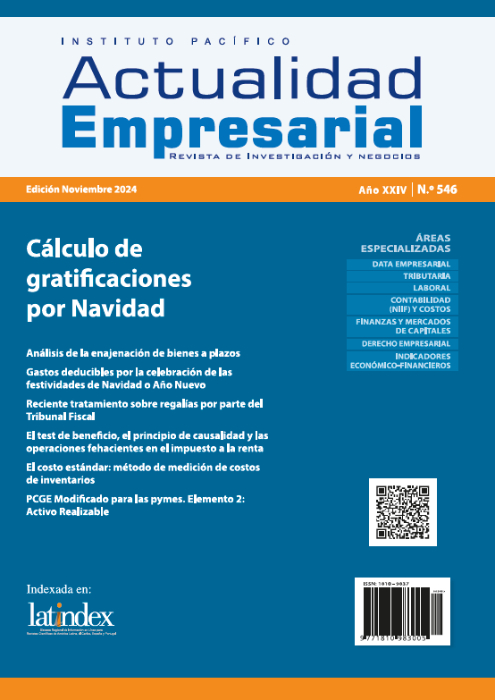 PCGE Modificado para las pymes. Elemento 2: Activo Realizable