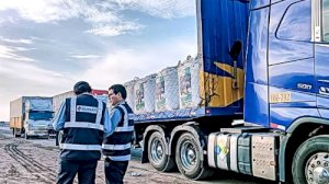 Dictan normas sobre las obligaciones del registro de operaciones y de informar pérdidas derrames excedentes y desmedros de insumos químicos susceptibles de uso en la actividad minera y en la minería ilegal a que se refieren los artículos 8 y 9 de la Ley N° 32412