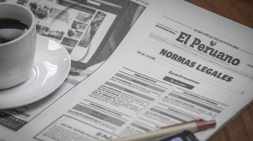 Directiva para la gestión de bienes muebles calificados como Residuos de Aparatos Eléctricos y Electrónicos