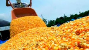 Aprueban precios de referencia y derechos variables adicionales del Sistema de Franja de Precios