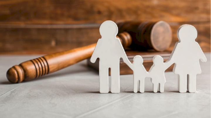 Frente a la inexistencia de una declaración de abandono, la madre biológica conserva su derecho de ejercer la patria potestad sobre su hija (Casación N.º 12-2023 Ventanilla)