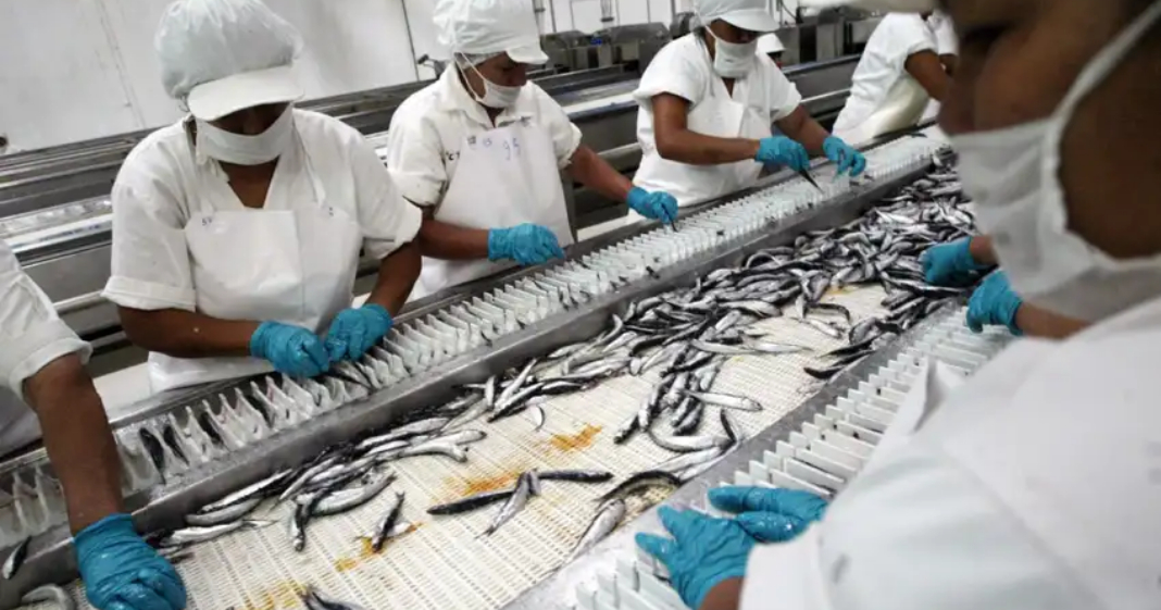 PBI peruano desacelera a 1,8% en mayo tras desplome de la pesca y caída de la manufactura