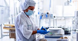 Impulsan desarrollo productivo
