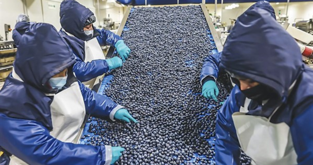 Aumenta 3.7% el número de empresas exportadoras