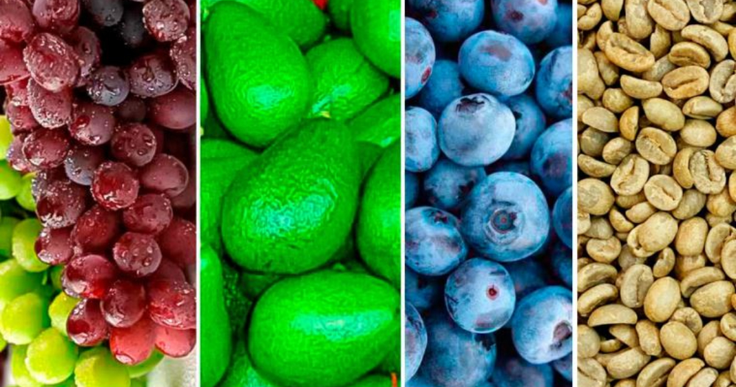 Midagri: Agroexportaciones peruanas están cerca de los US$ 5,000 millones a mayo de 2026