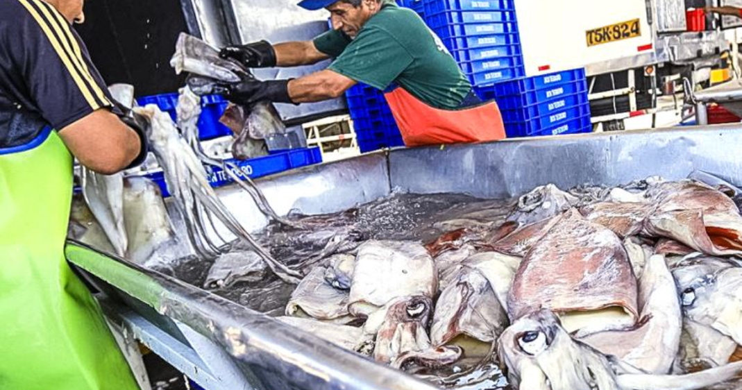 Pescadores y acuicultores: accedan al alivio financiero pagando solo una cuota inicial