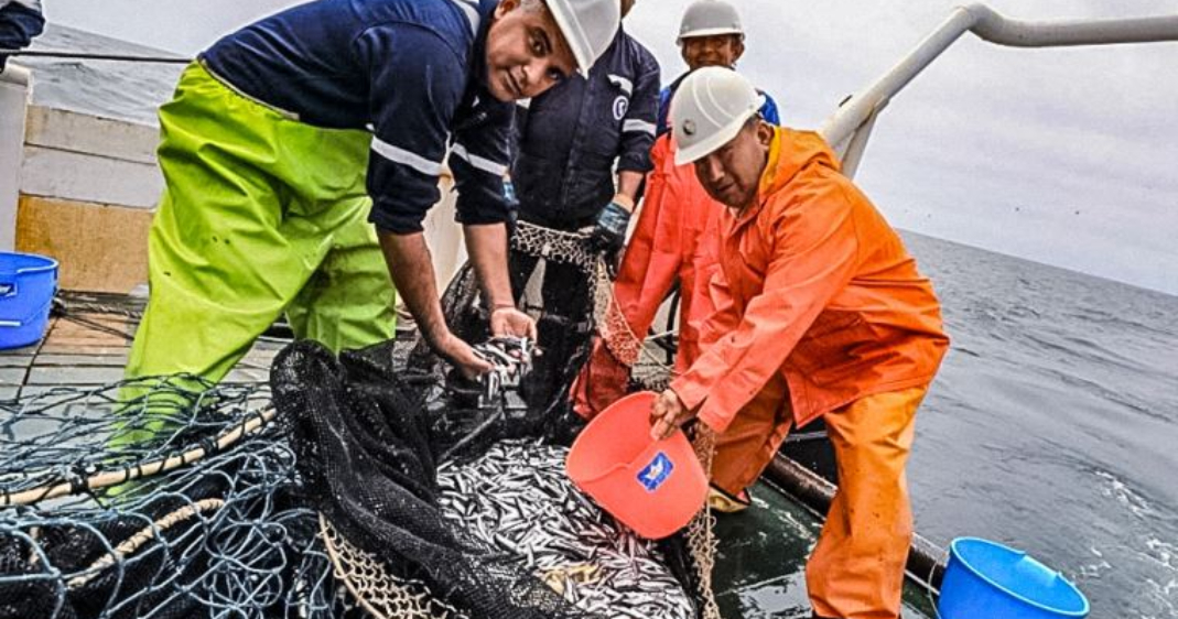 ¿Trabajas en pesca? Conoce los beneficios laborales que la ley te garantiza