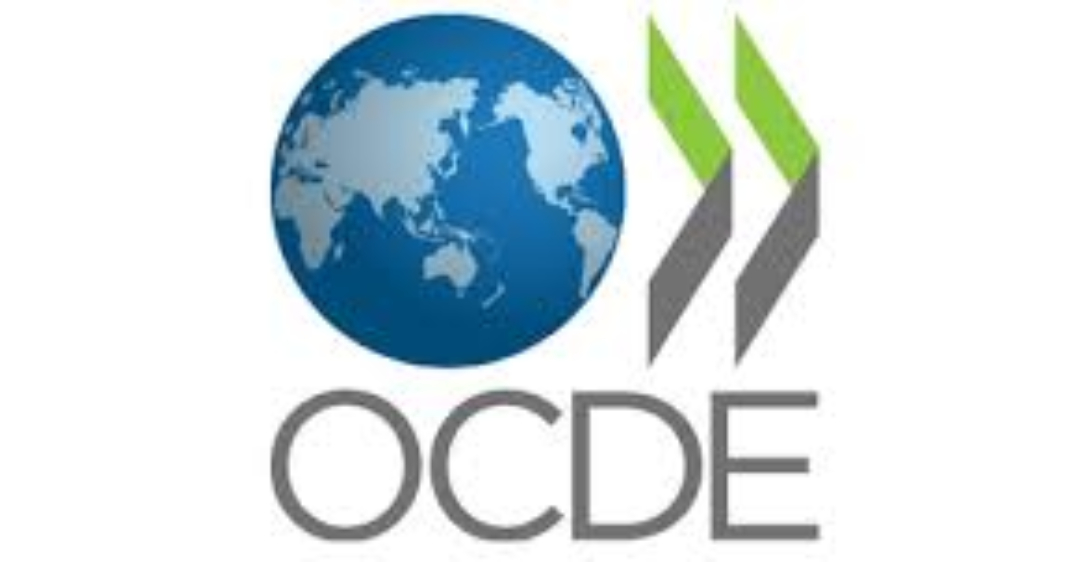 OCDE plantea la creación de un Sistema Nacional de Integridad y Transparencia para combatir la corrupción