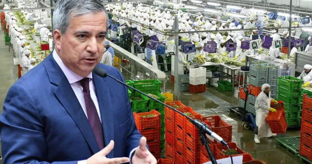 Ley Chlimper 2.0 bajo presión: MEF respalda beneficios tributarios a grandes empresas agroexportadoras