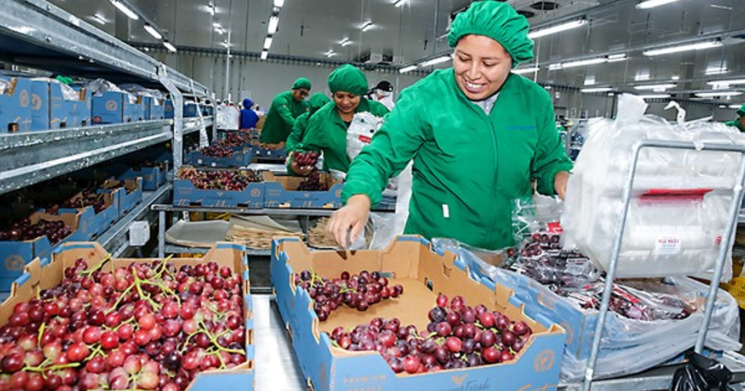 Envíos agrarios aumentan 3.3%