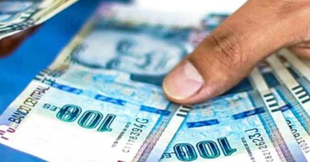 Bono de S/ 100 a servidores públicos: Gobierno autoriza transferencia para pago en enero