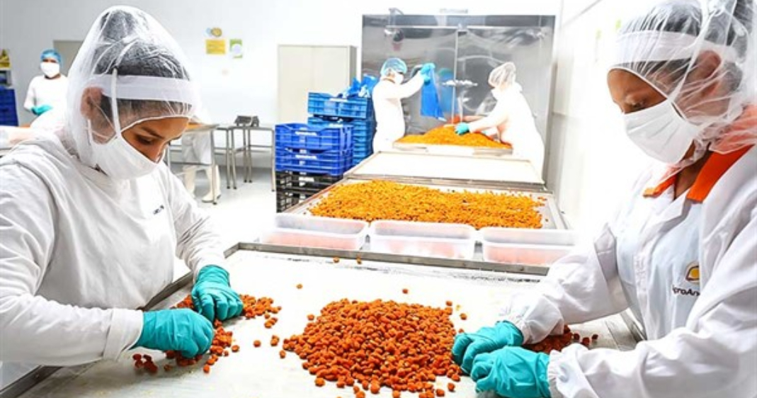 BCR: el empleo formal aumentó 4.2% en febrero