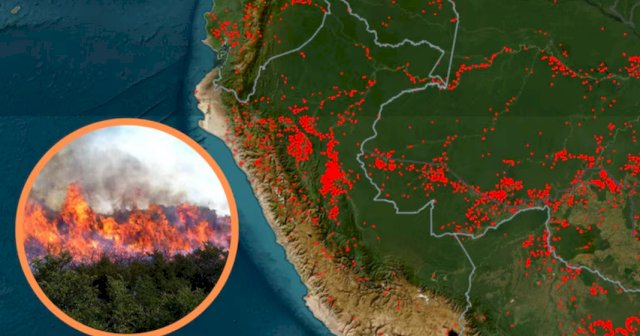Alerta roja en el Perú por incendios forestales: la ausencia de lluvias por El Niño facilita que el fuego se descontrole