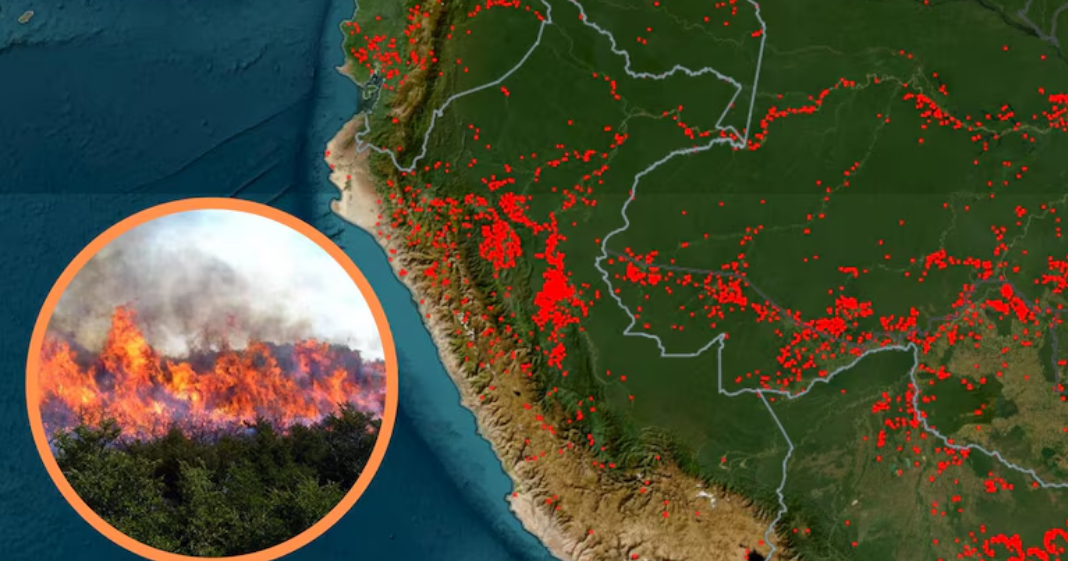 Alerta roja en el Perú por incendios forestales: la ausencia de lluvias por El Niño facilita que el fuego se descontrole