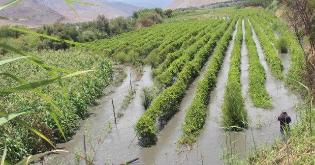 El Niño retrasaría la recuperación económica del Perú hasta la segunda mitad de 2027: las cifras del impacto