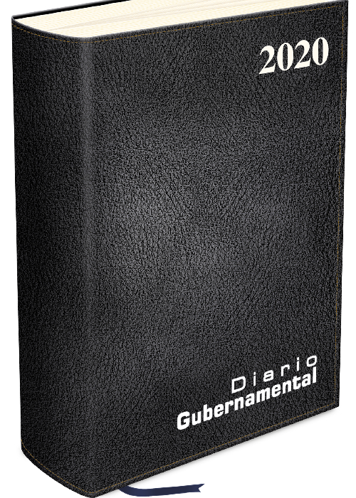 Diario Gubernamental 2020