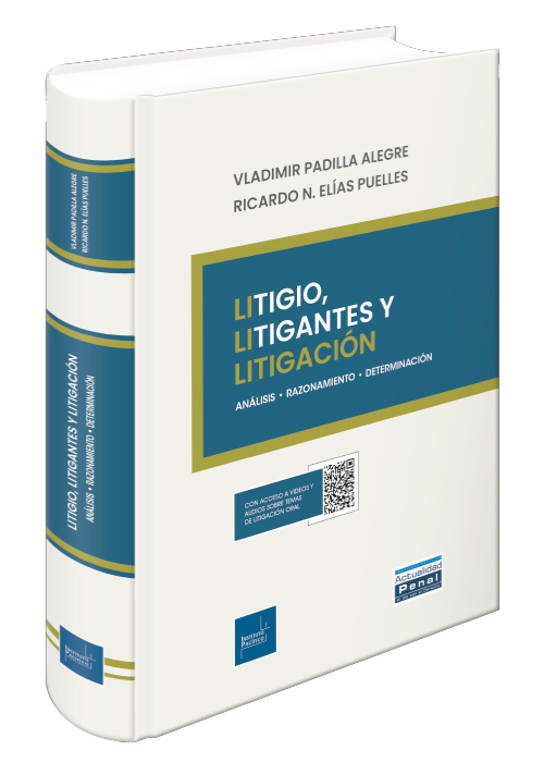 Litigio, litigantes y litigación