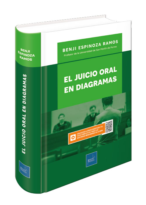 El Juicio Oral en diagramas