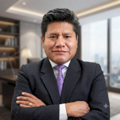 David Rosario Mendiguri Peralta