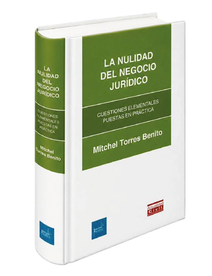 La nulidad del negocio jurídico