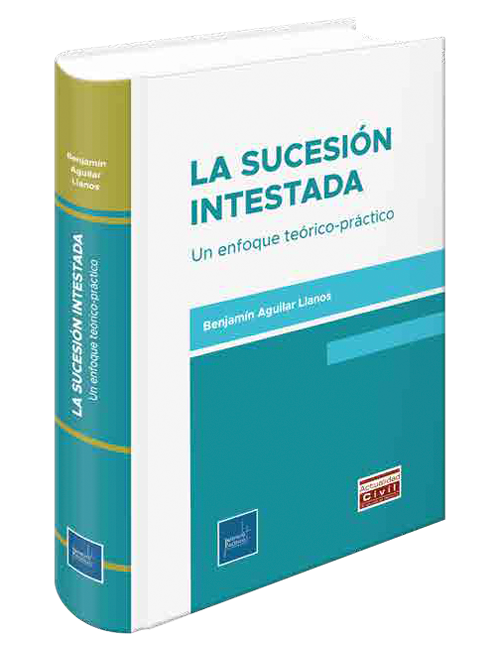 Portada de LA SUCESION INTESTADA
